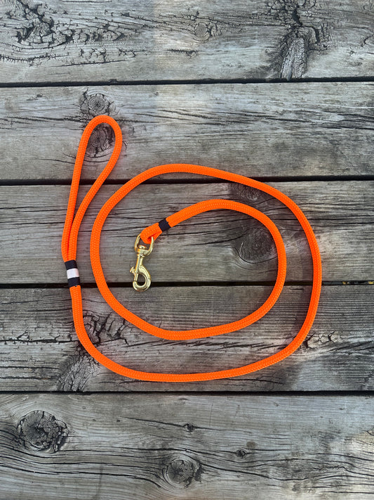 Orange/Navy Dog Leash