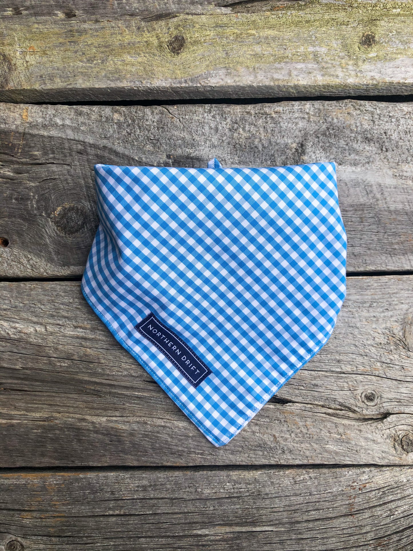 Pacific Blue Gingham Dog Bandana